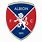 Albion Cricket Logo
