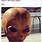 Alien Baby Meme