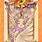 All Clow Cards