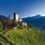 Alto Adige Vineyards
