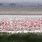 Amboseli National Park Lake