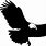 American Bald Eagle Silhouette