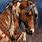 American Indian Horse Art