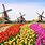 Amsterdam Netherlands Tulip Season