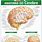 Anatomia Do Cerebro