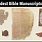 Ancient Bible Manuscripts