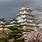 Ancient Japanese Castle