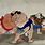 Ancient Sumo Wrestling