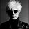 Andy Warhol Hair