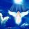 Angel Images Free Download