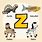 Animal Alphabet Letter Z