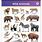 Animals Names Images for Kids