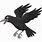 Animated Crow Flying
