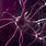 Animated Neurons