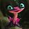 Animated Pink Frog