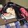 Anime Girl Sleeping at Desk