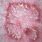 Annular Circular Skin Rash Cancer