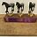 Appaloosa Horse Trophies