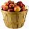 Apple Bushel