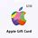 Apple Gift Card Vector