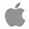Apple Inc Icon