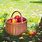 Apple Orchard Basket