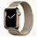 Apple Watch 7 Stainless Steel