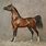 Arab Horse Painting