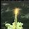 Ariane 5 Rocket Failure