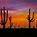 Arizona Cactus Painting