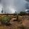 Arizona Desert Rain