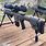 Armalite 308 Sniper Rifle