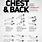 Arms Chest and Back Workout