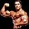 Arnold Image Bodybuilding