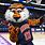 Auburn Basketball Mascot