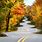 Autumn Winding Roads