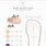 Baby and Toddler Shoe Size Chart
