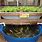 Backyard Aquaponics