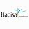 Badisa Logo