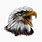 Bald Eagle Vector Image
