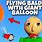 Baldi Balloon
