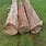 Balsa Wood Logs