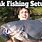 Bank Fishing Catfish Rigs