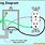 Basic Outlet Wiring Diagrams
