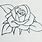 Basic Rose Drawing