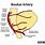 Basilar Artery