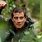 Bear Grylls Survival