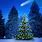 Beautiful Christmas Tree Background