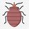 Bed Bug Emoji
