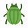 Beetle Emoji